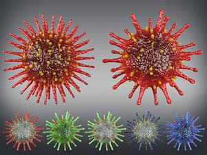 corona virus model