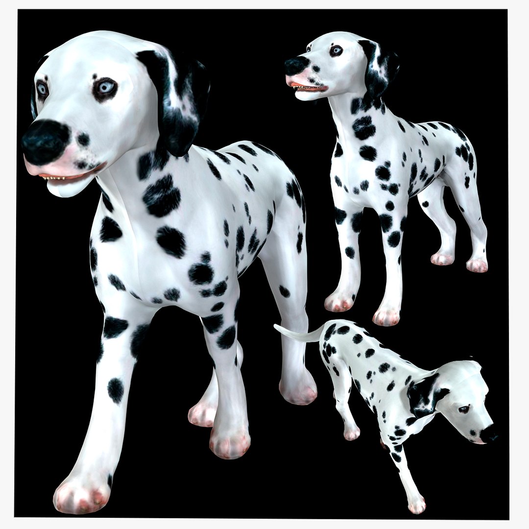 3D model DOG PACK ANIMATED - TurboSquid 2085676