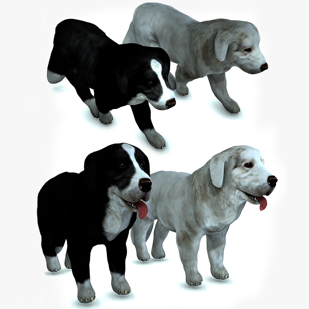 3D model DOG PACK ANIMATED - TurboSquid 2085676