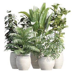 Indoor Pot Plants Collection 534 model