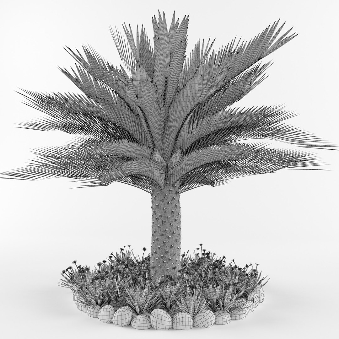 3d Palm Model - Turbosquid 1255342