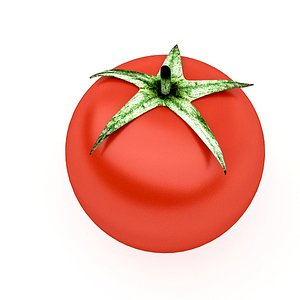 3D tomato realistic