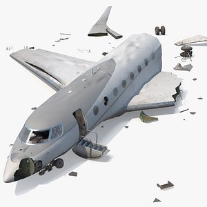 Jet Cockpit Section Wreckage Crashed