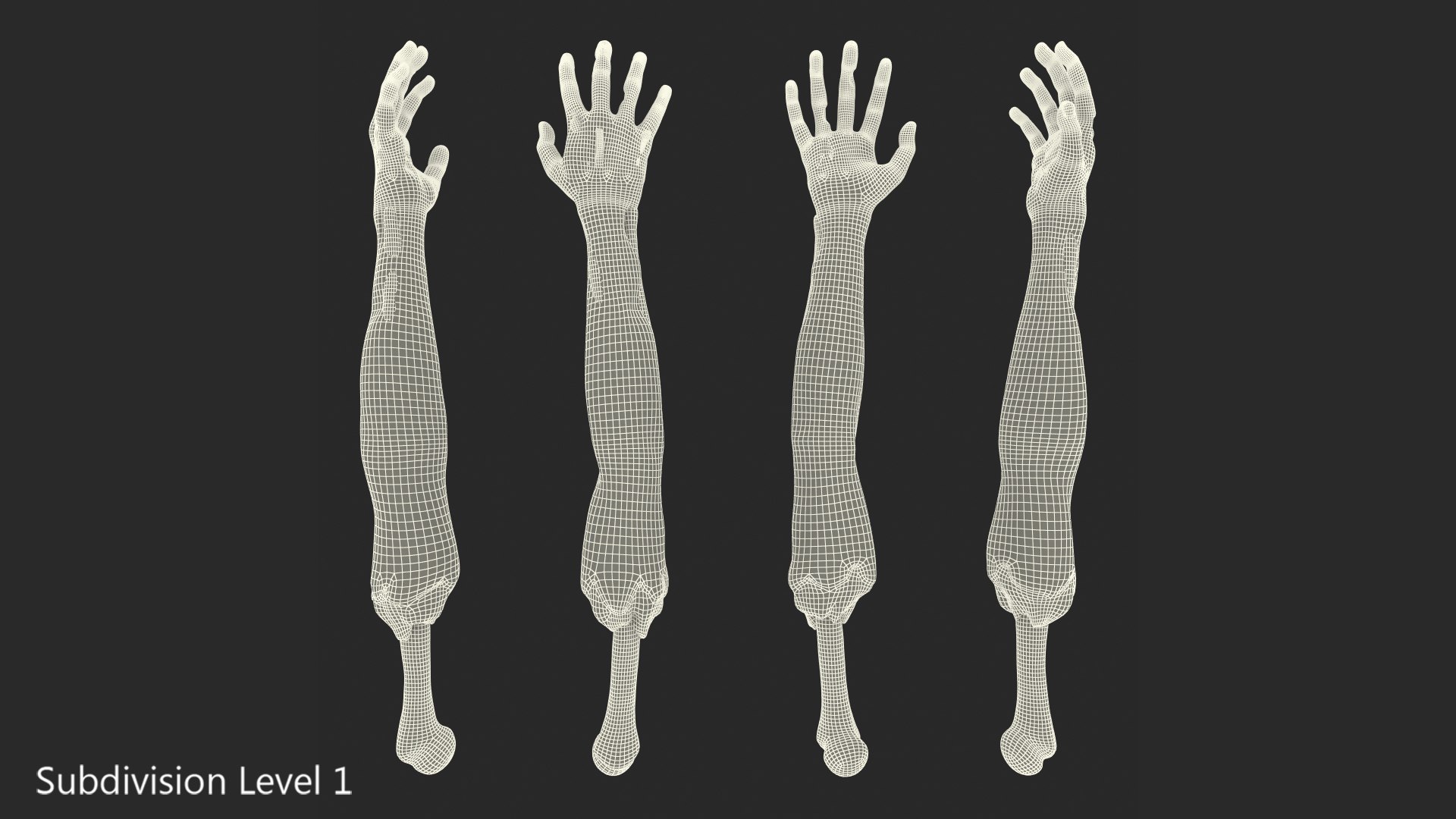 3D Zombie Arms Single TurboSquid 1443802