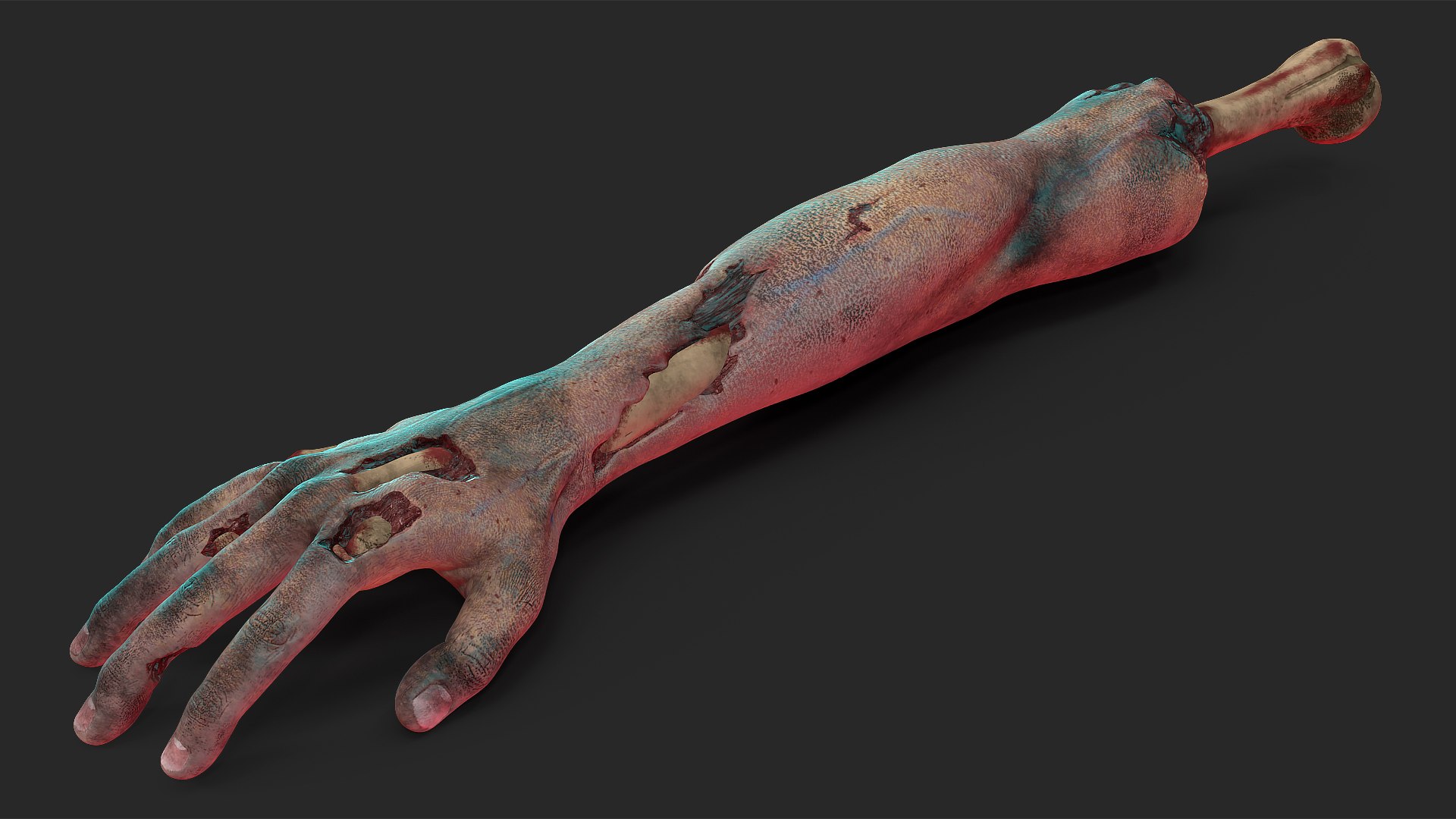 Single Zombie Arm 3D model preview