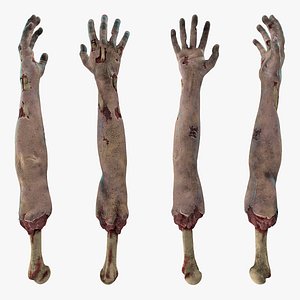 Single Zombie Arm