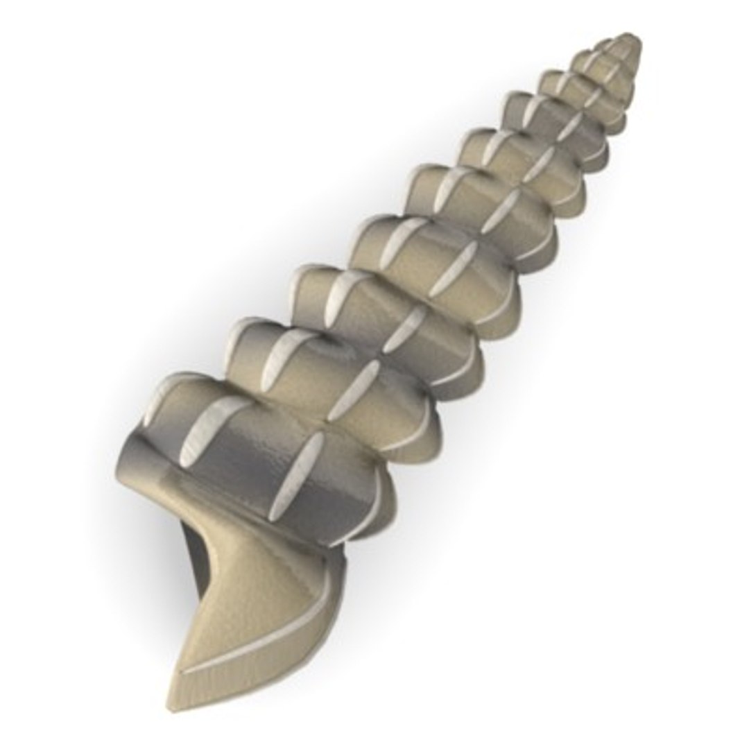 Shells 3d Model
