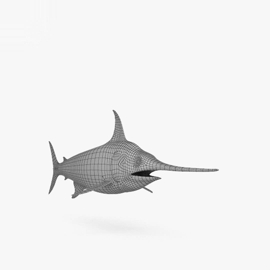 3D Swordfish Fish Model TurboSquid 1448425