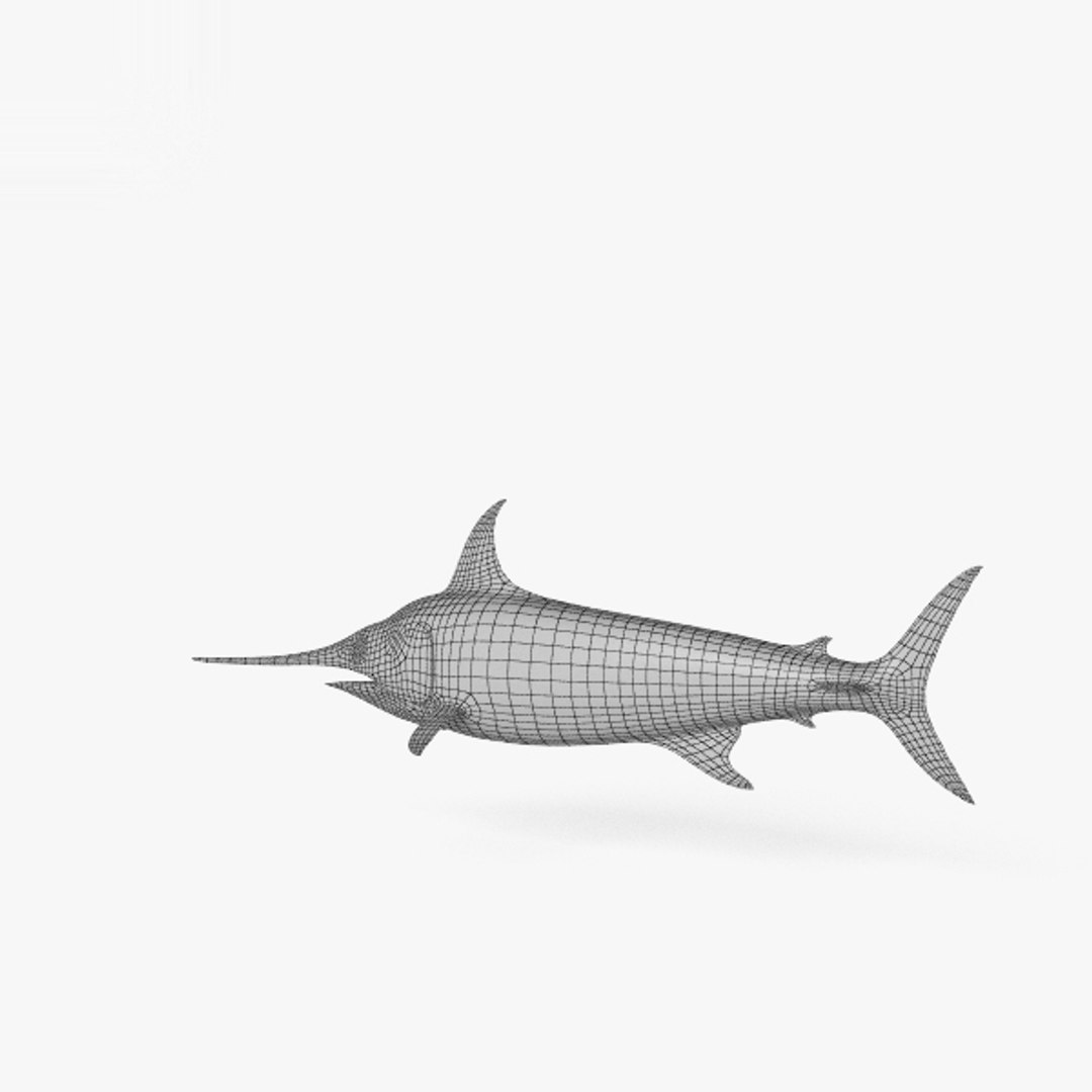 3D Swordfish Fish Model TurboSquid 1448425