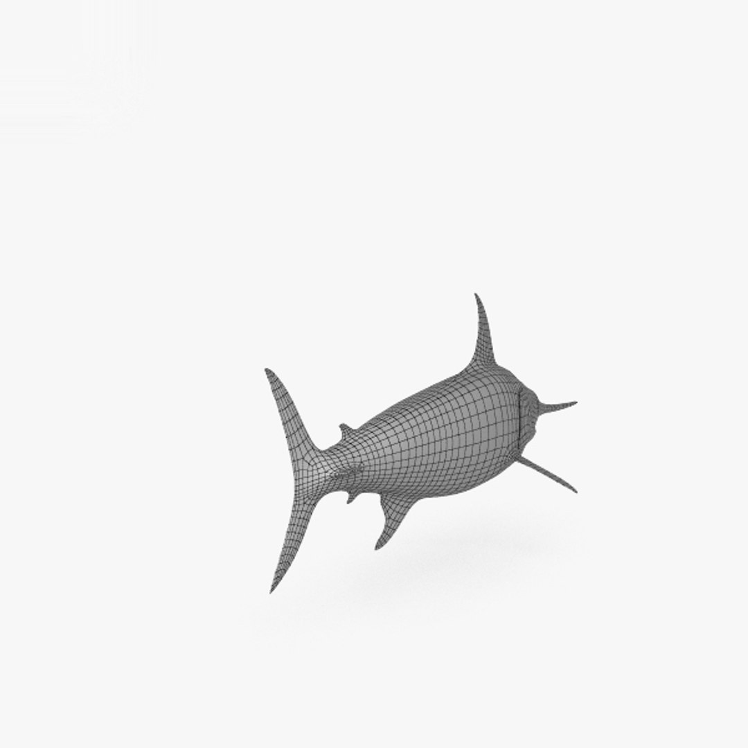 3D Swordfish Fish Model TurboSquid 1448425