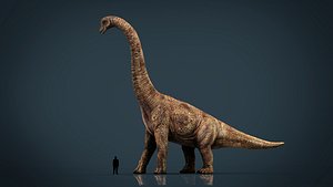 3D realistic brachiosaurus