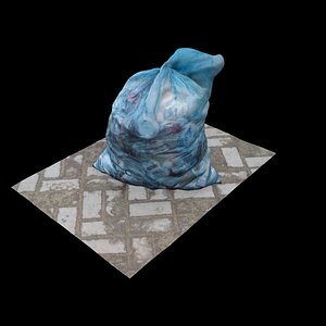 scan pocket trash 3D model