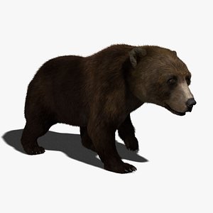 3D model Next Gen AAA Brown Bear - game model VR / AR / low-poly