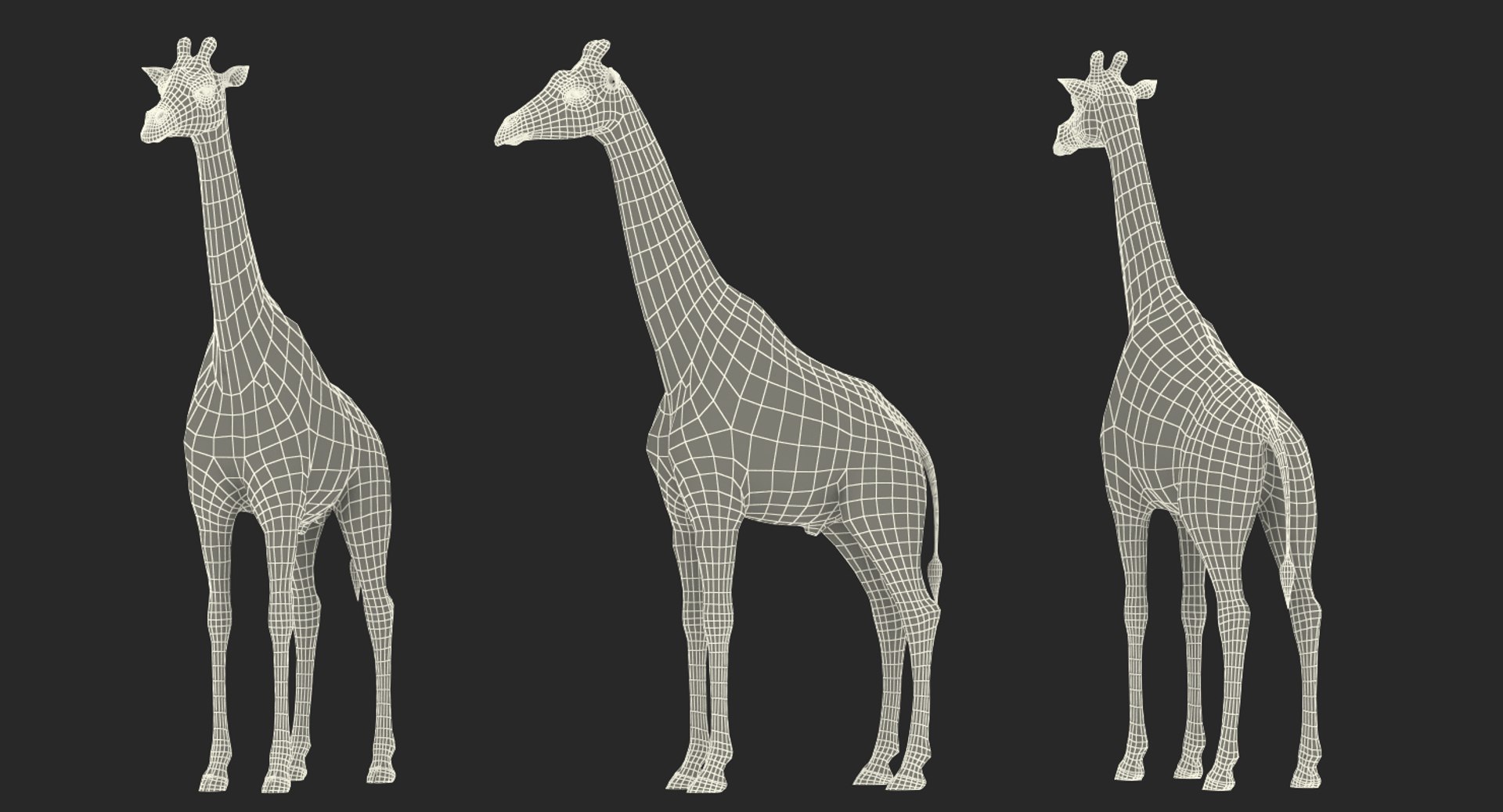 3D Giraffe Rigged Model - TurboSquid 1400507