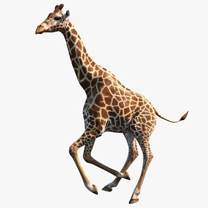 3D giraffe rigged model