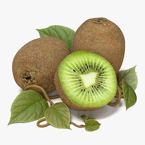 Kiwi Fruit 3D model