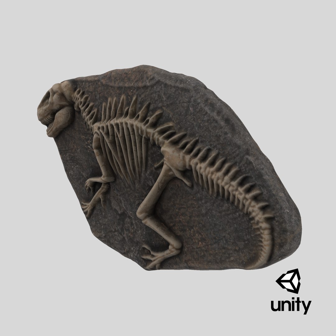 Dinosaur Fossil 004 Textured 3D https://p.turbosquid.com/ts-thumb/m5/LV0DyO/nZ/stemcell_unity_render/png/1730219130/1920x1080/fit_q87/cdf5f356a3de9f1d2b0ec95cdc37b867159b53fa/stemcell_unity_render.jpg