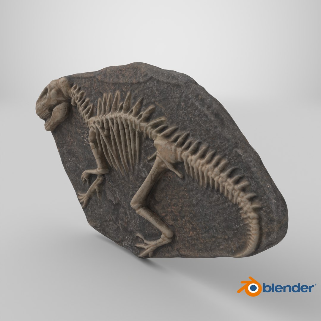 Dinosaur Fossil 004 Textured 3D https://p.turbosquid.com/ts-thumb/m5/LV0DyO/rC/stemcell_blender_cycles_render/png/1730219108/1920x1080/fit_q87/8ec3c9195b454bc6f9db73e01d04f784224d9b38/stemcell_blender_cycles_render.jpg