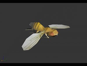 Mosquitoes