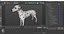 Dalmatian Dog Animated Rigged for Cinema 4D 3D model