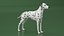 Dalmatian Dog Animated Rigged for Cinema 4D 3D model