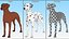 Dalmatian Dog Animated Rigged for Cinema 4D 3D model