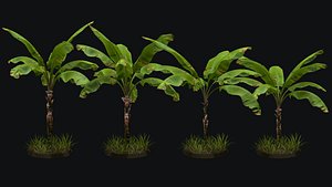 3D 4 banana trees