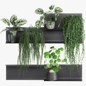 Decorative shelf with flowers in pots 67 3D model