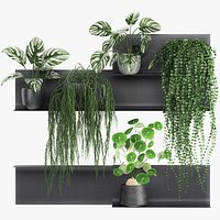 Decorative shelf with flowers in pots 67