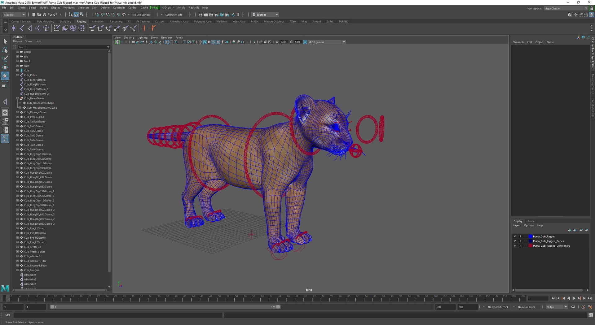 3D Puma Cub Rigged For Maya Model - TurboSquid 2383482