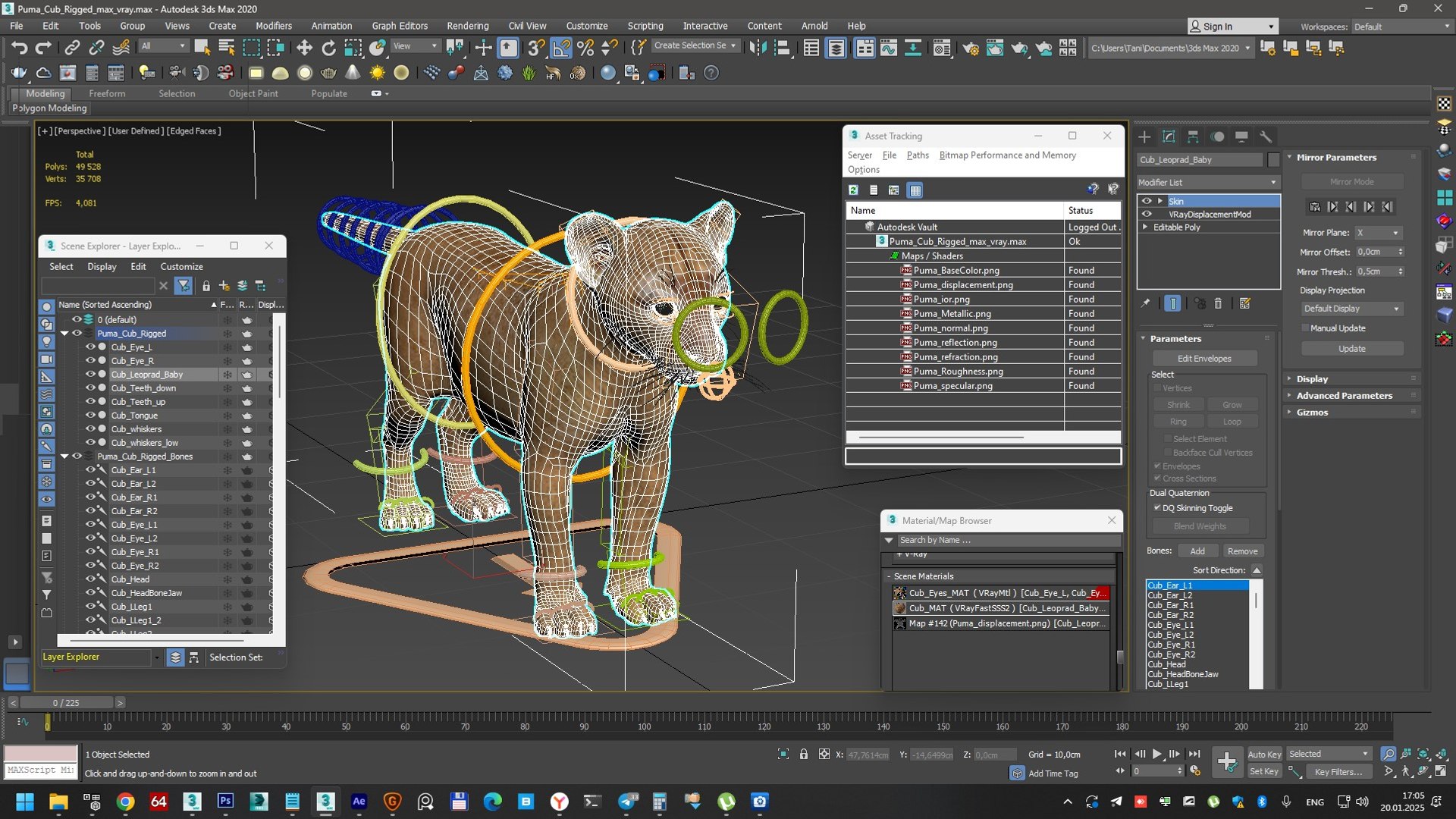 3D Puma Cub Rigged For Maya Model - TurboSquid 2383482
