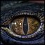 3D model Creature Eyes Vol 08 - PBR