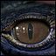 3D model Creature Eyes Vol 08 - PBR