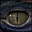3D model Creature Eyes Vol 08 - PBR