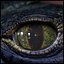 3D model Creature Eyes Vol 08 - PBR