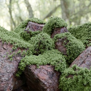 Mossy rocks garden collection vol 140-Blender 3DModel 3D model