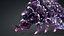 Larva-V2b