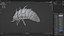 Larva-V2b