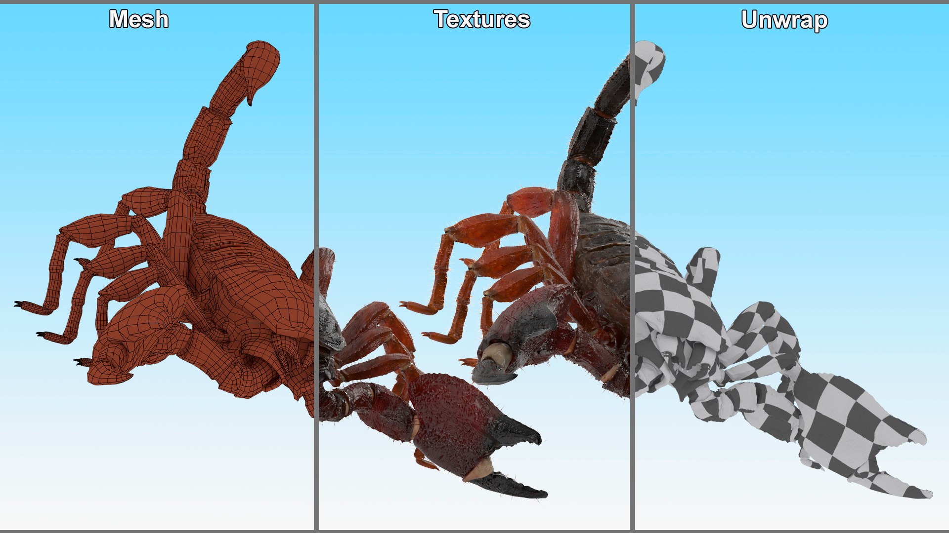 3D Realistic Scorpion Strikes Fur Animated Rigged for Cinema 4D model https://p.turbosquid.com/ts-thumb/m6/PbQyi3/64/realistic_scorpion_strikes_fur_animated_rigged_014/jpg/1766609963/1920x1080/fit_q87/053423dbcb1b8fda08dc5748b58dca1886deec1f/realistic_scorpion_strikes_fur_animated_rigged_014.jpg