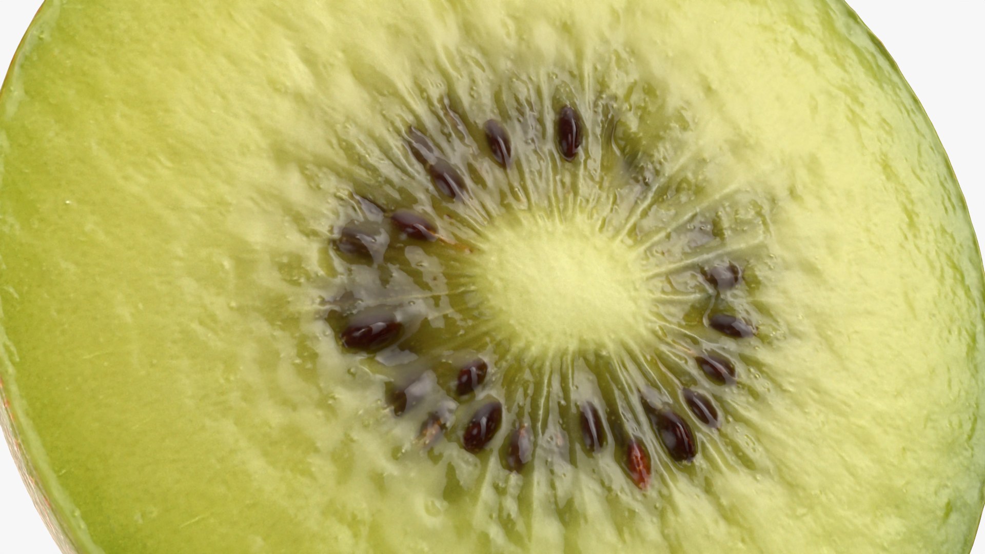 Golden Kiwi Half 3D model https://p.turbosquid.com/ts-thumb/m6/UTdyJZ/w8/kiwigoldhalf_0011/png/1760942205/1920x1080/fit_q87/1b24d4e084f73a7ef256a1a7ceadae518d9fe67e/kiwigoldhalf_0011.jpg