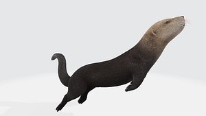 Sea otter 3D model