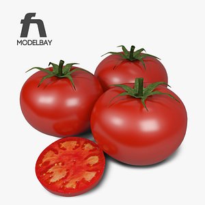 3d model tomato