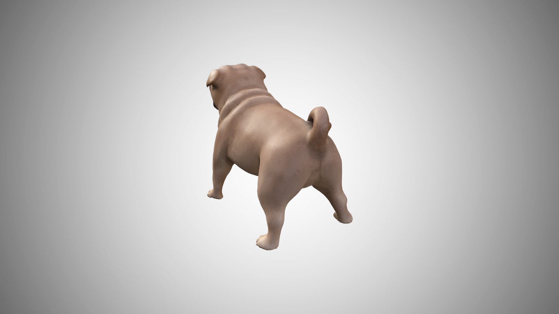 3D pug rigged https://p.turbosquid.com/ts-thumb/m6/g7L0Rg/bfwFLizJ/pug_0303/jpg/1595190671/1920x1080/fit_q87/76f7a13b9d57b066983013de253775febbc9f313/pug_0303.jpg