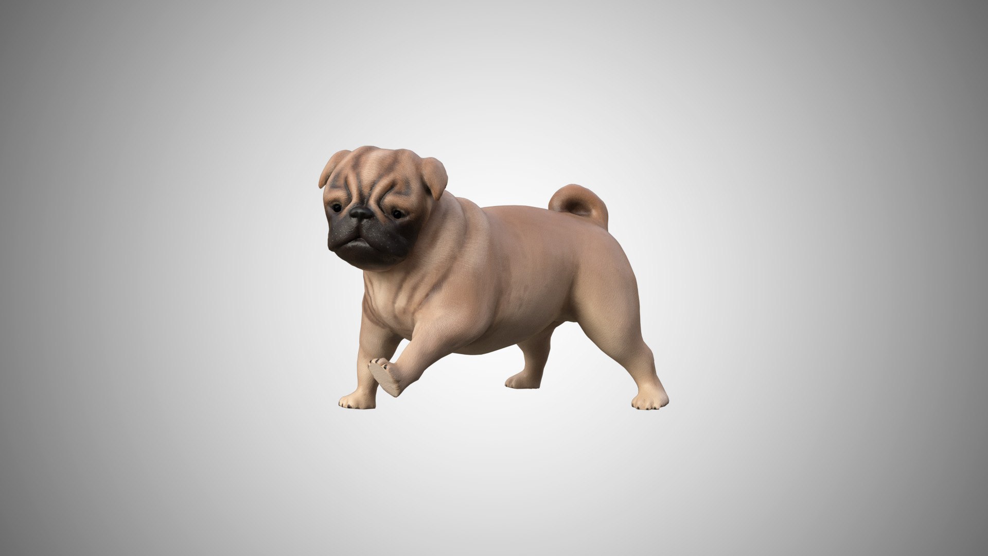 3D pug rigged https://p.turbosquid.com/ts-thumb/m6/g7L0Rg/hniP2PZ7/pug_0404/jpg/1595190671/1920x1080/fit_q87/c8d1d130b4ec35032b2c036bebac5a355c6e018f/pug_0404.jpg