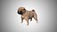 Low Poly Rigged Pug