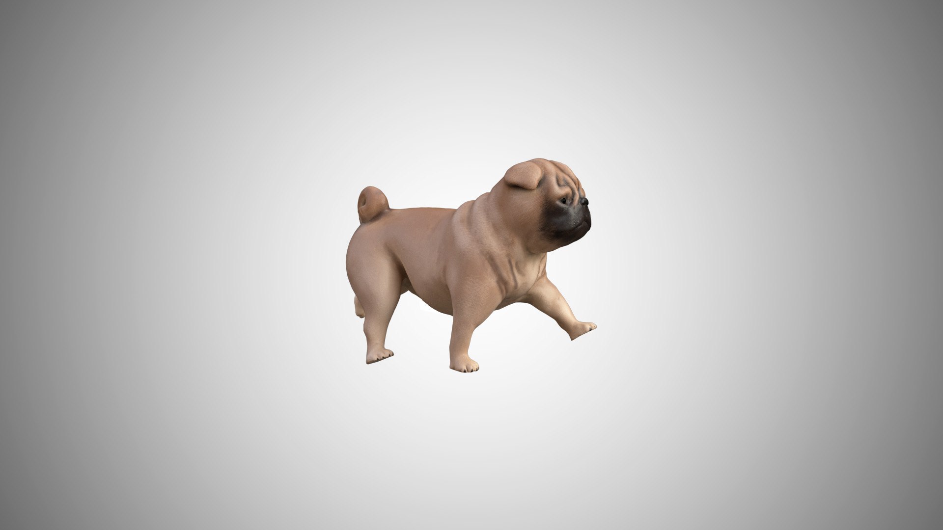 3D pug rigged https://p.turbosquid.com/ts-thumb/m6/g7L0Rg/sghzKw1r/pug_0707/jpg/1595190671/1920x1080/fit_q87/dee50511d28b05e07972e1152e05de14a66ded8a/pug_0707.jpg