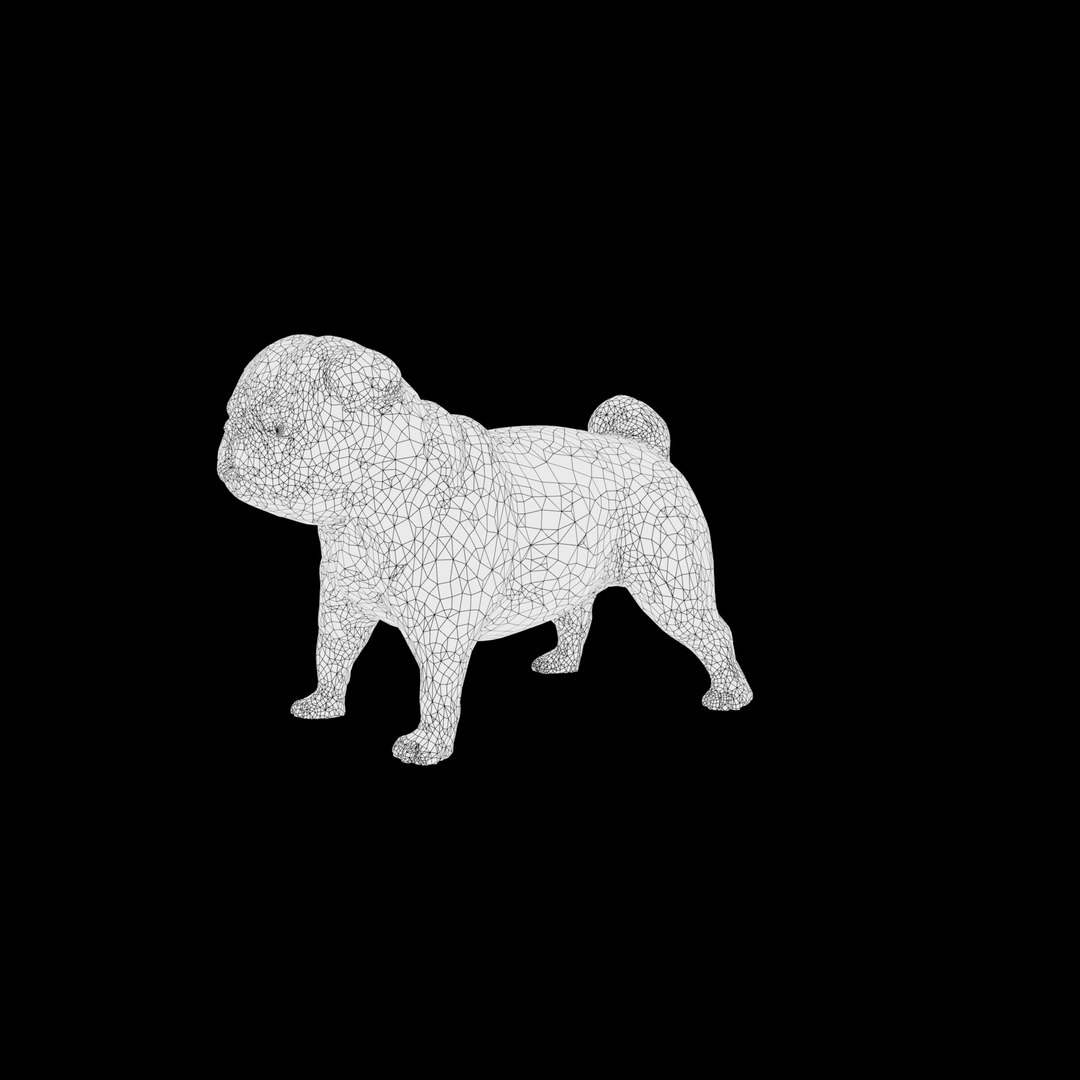3D pug rigged https://p.turbosquid.com/ts-thumb/m6/g7L0Rg/xvVKfExu/pug_wireframe/jpg/1595190671/1920x1080/fit_q87/65d0a4fd95b983f10e3a1f86dc0ddbdb342bc955/pug_wireframe.jpg