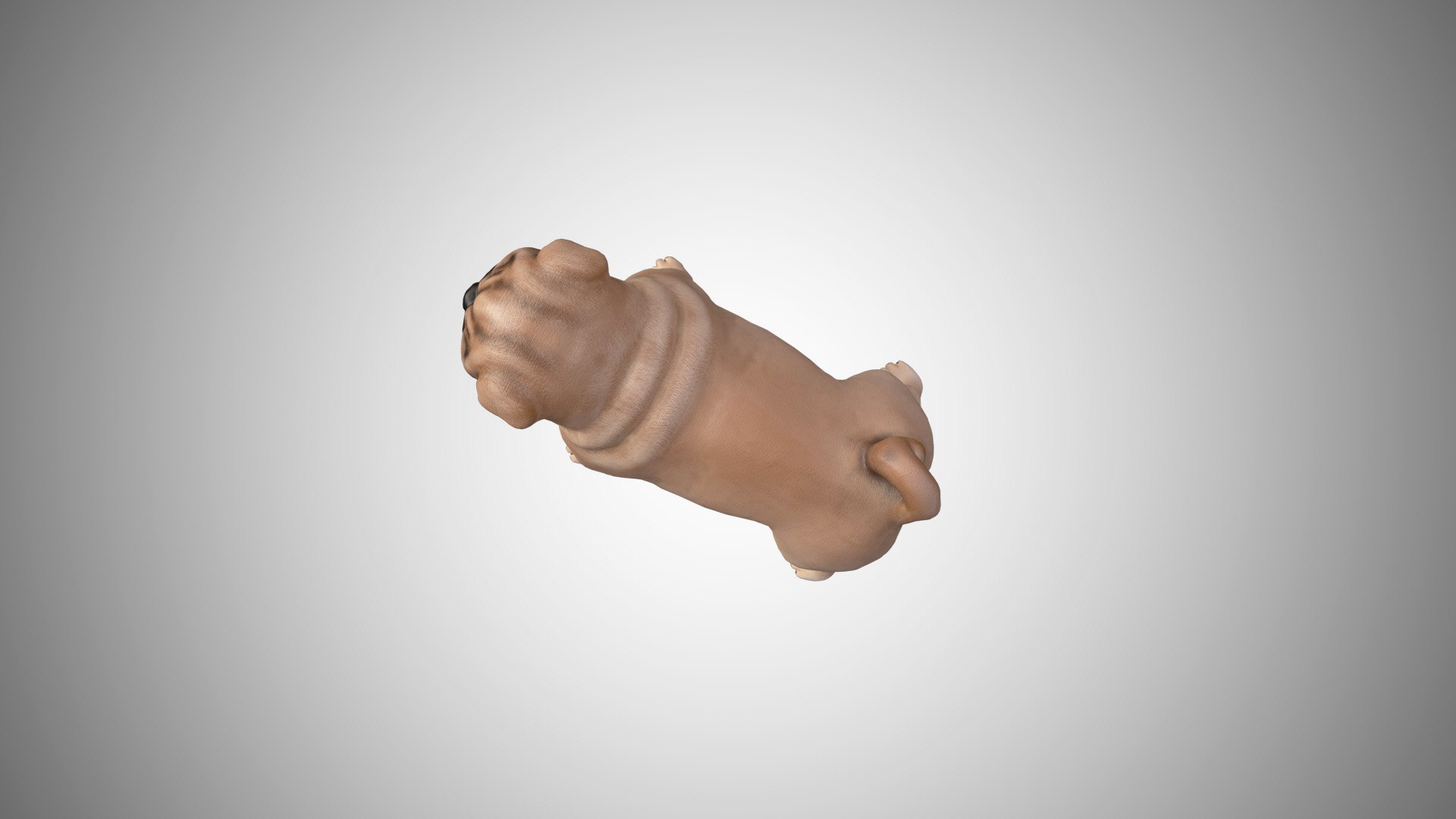 3D pug rigged https://p.turbosquid.com/ts-thumb/m6/g7L0Rg/yksPFcnx/pug_0202/jpg/1595190670/1920x1080/fit_q87/558938821d57288079cde803b04800bb13731c7f/pug_0202.jpg