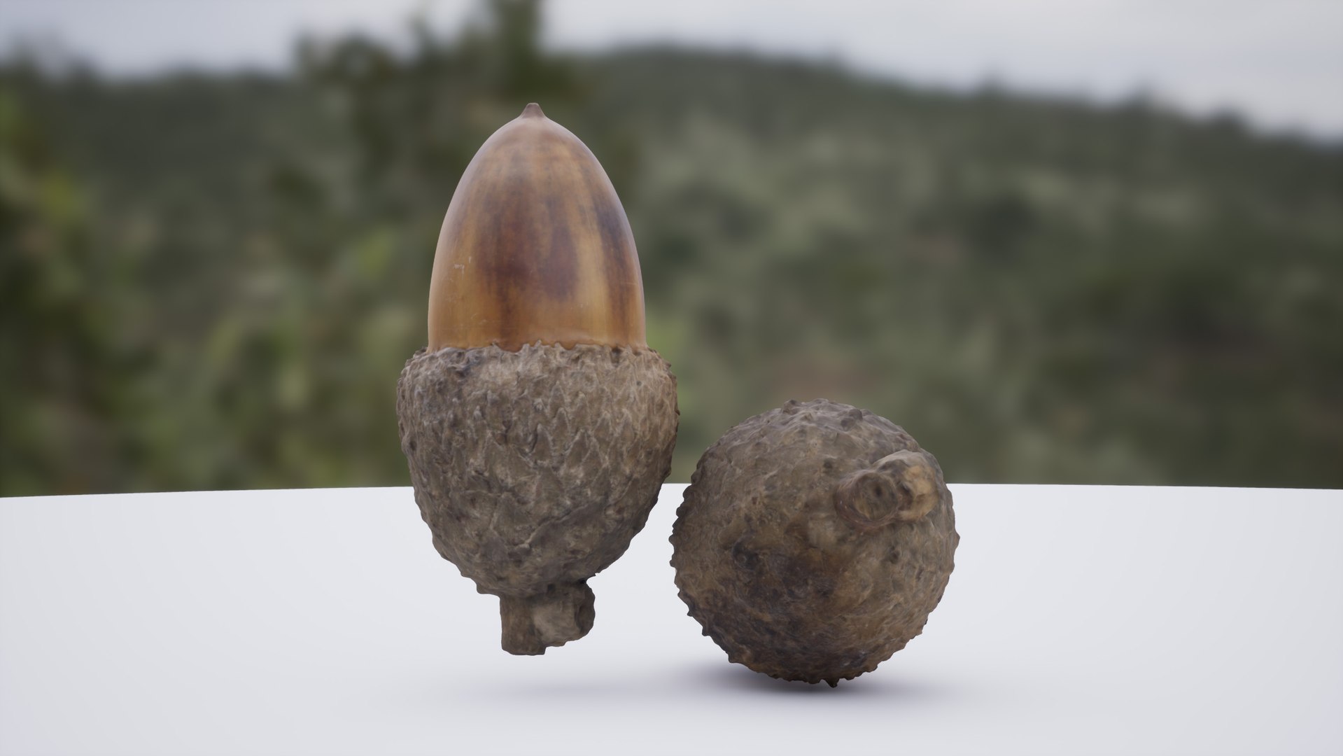 acorn photoscanned model https://p.turbosquid.com/ts-thumb/m6/xp3IVU/DMiqkRbV/highresscreenshot00022/jpg/1541608740/1920x1080/fit_q87/aca6eac67f05771d8c13ae7742a3cc3659c67637/highresscreenshot00022.jpg