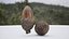 Photoscanned Acorn 4K